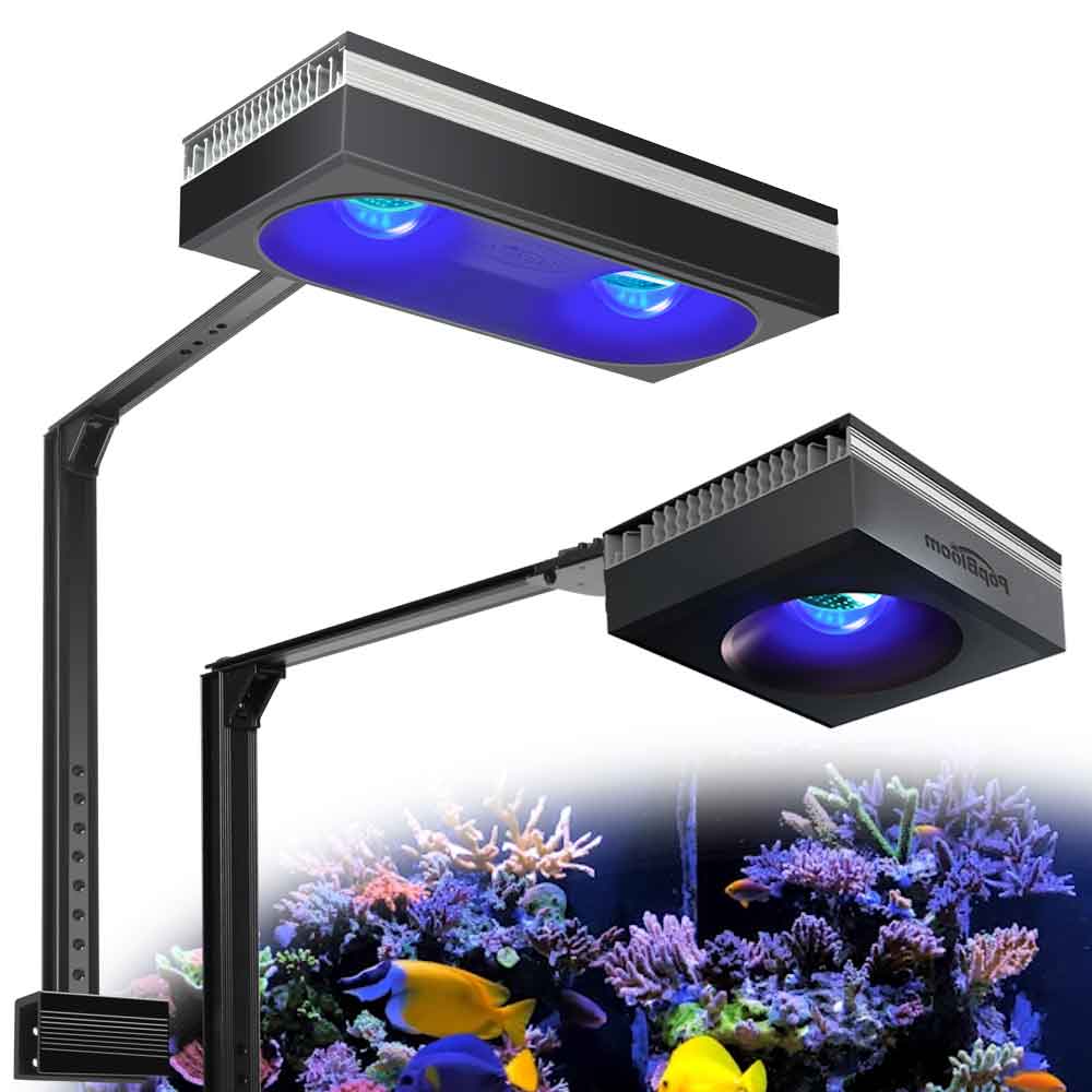 PopBloom RL90/RL180 WiFi Aquar - Marine X Aquarium のレビューと価格