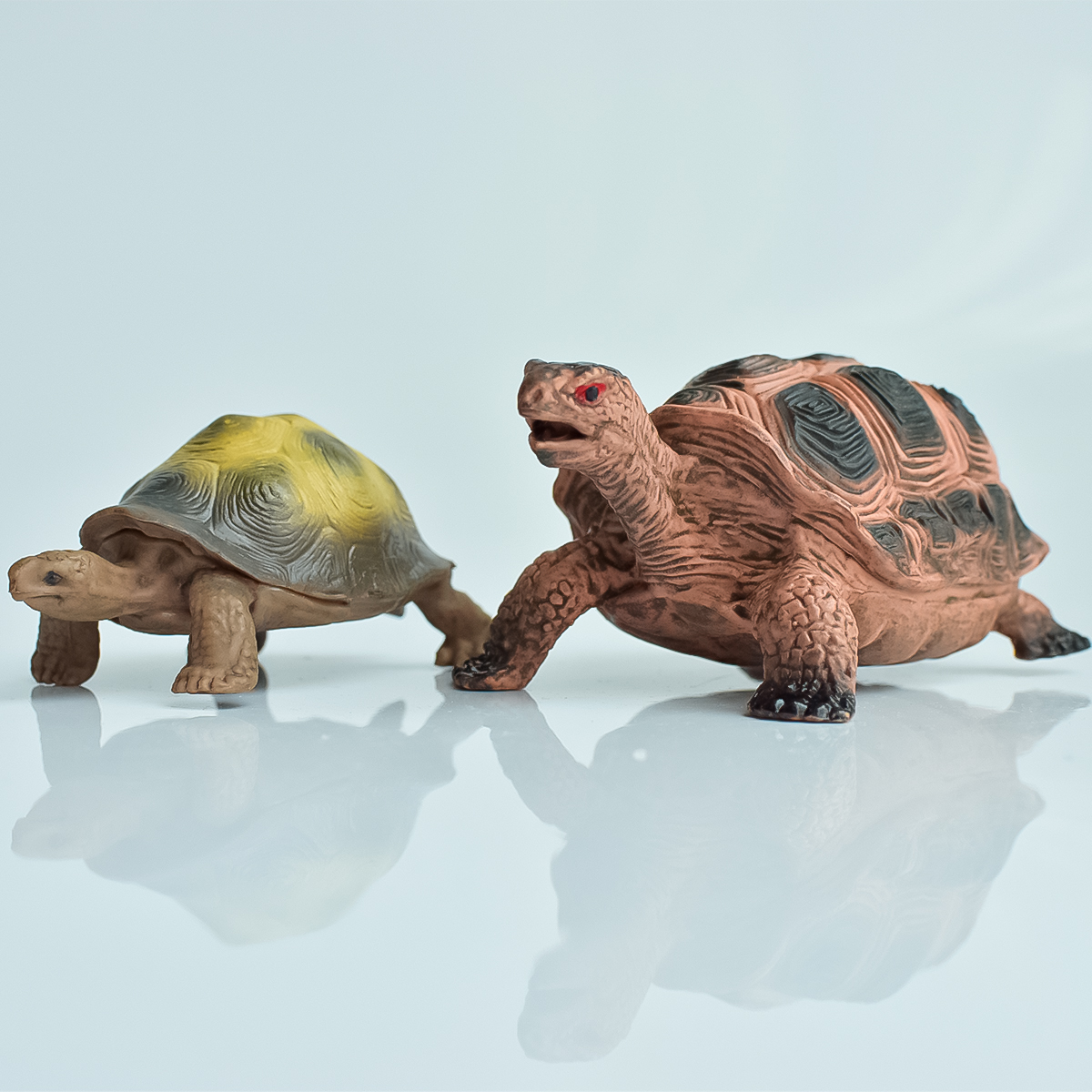 Painted Realistic Animal Turtl - Aquarium Marine Tank のレビューと価格