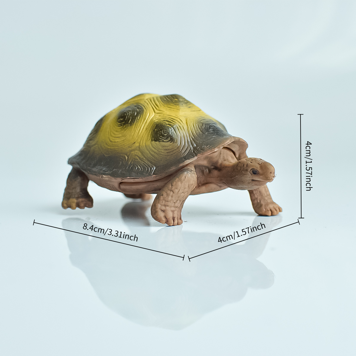 Painted Realistic Animal Turtl - Aquarium Marine Tank のレビューと価格
