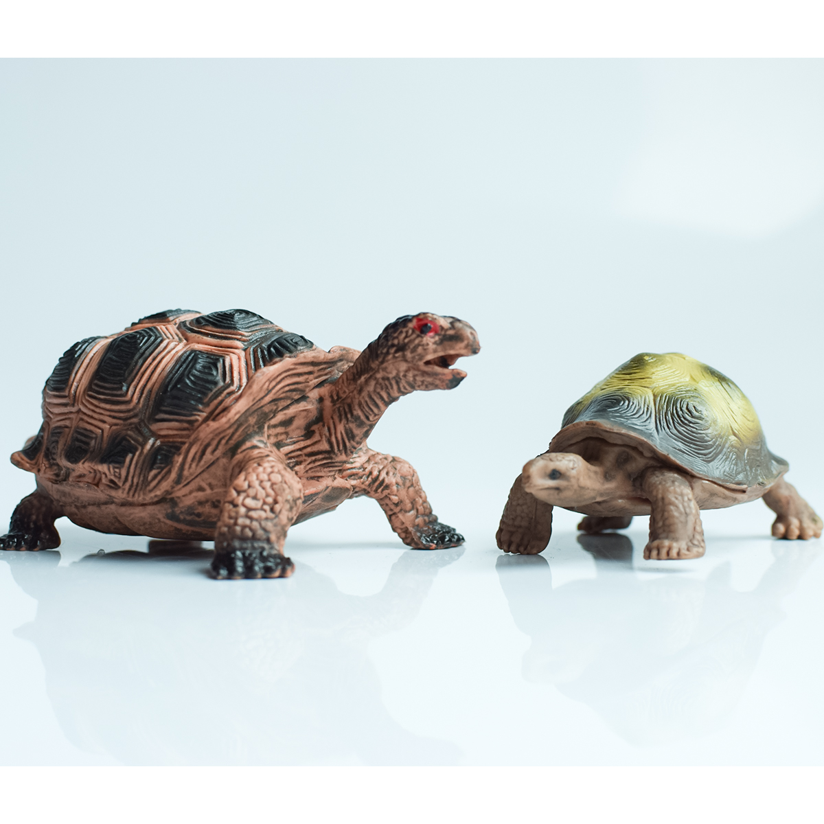 Painted Realistic Animal Turtl - Aquarium Marine Tank のレビューと価格