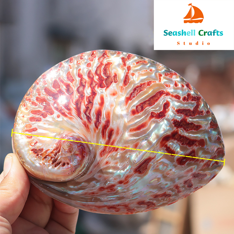 Home Decoration Red Pattern Ab - Marine Aquarium Decorations のレビューと価格