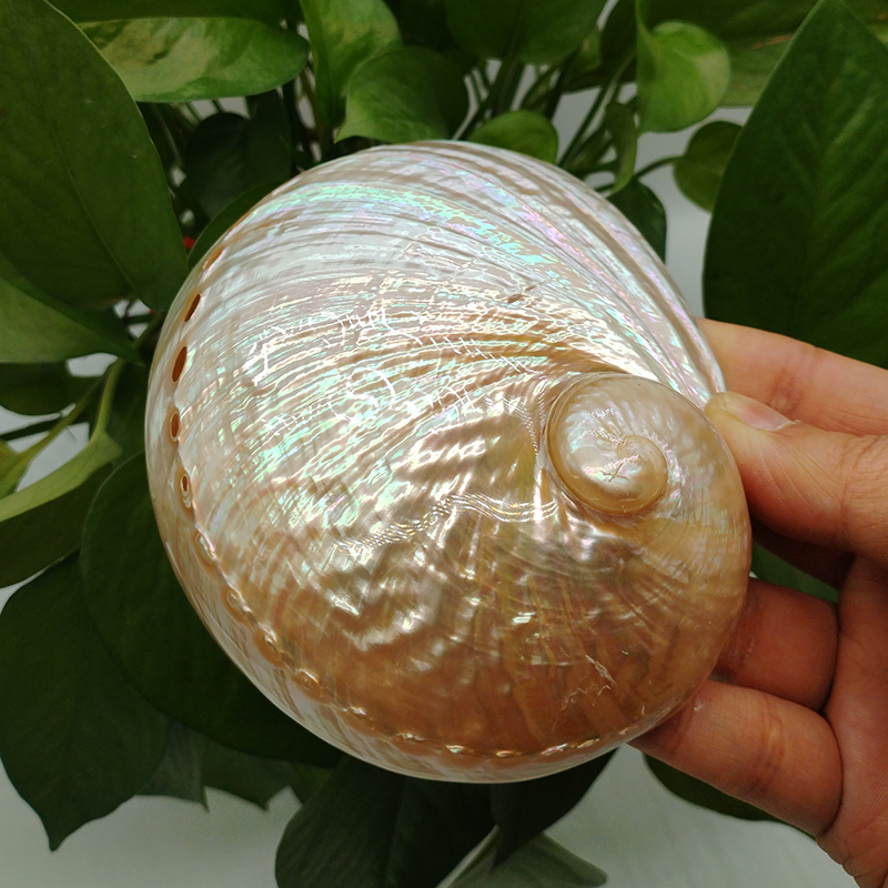 Home Decoration Red Pattern Ab - Marine Aquarium Decorations のレビューと価格