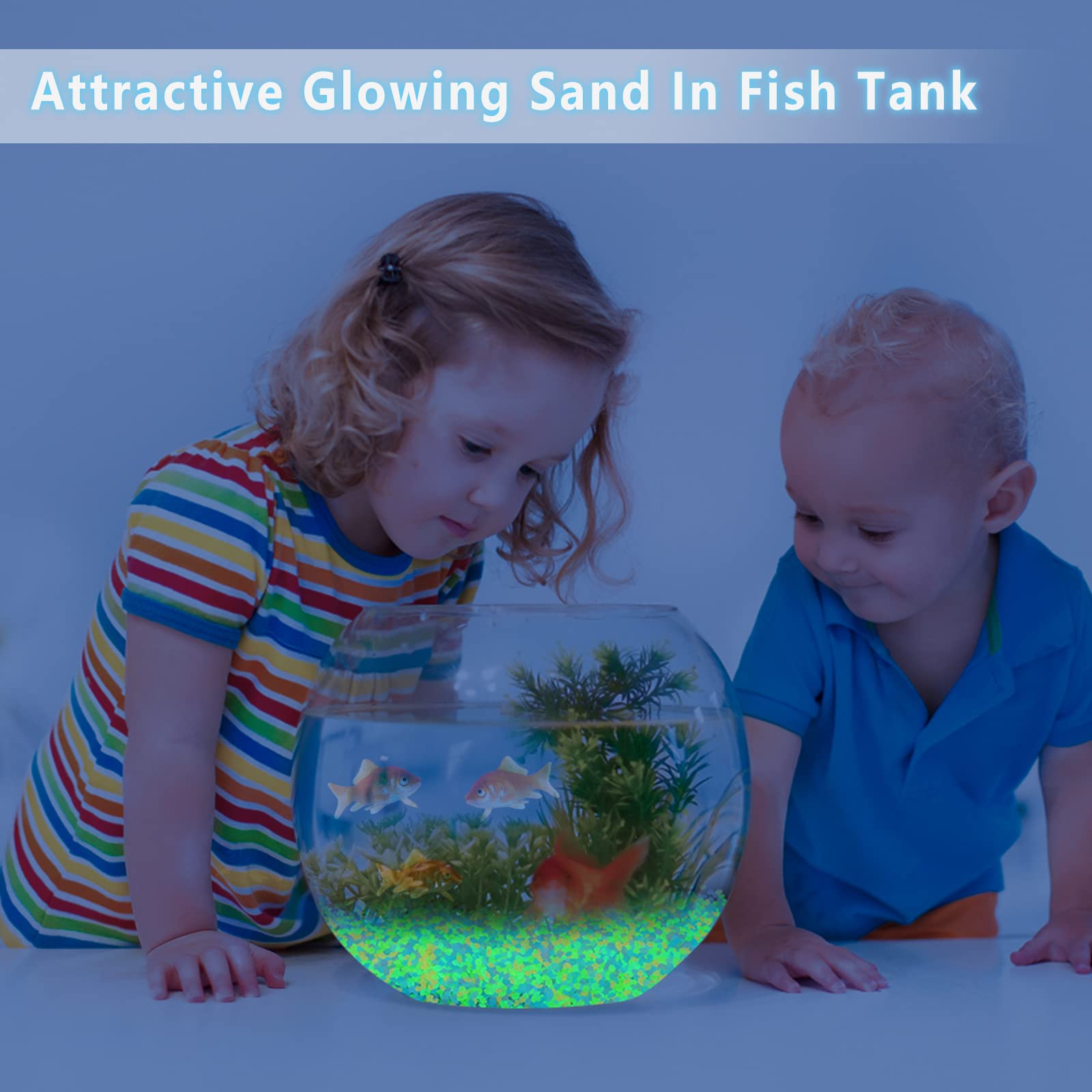 1000Pcs Luminous Sand Glow In  - Aquarium Marine Tank のレビューと価格