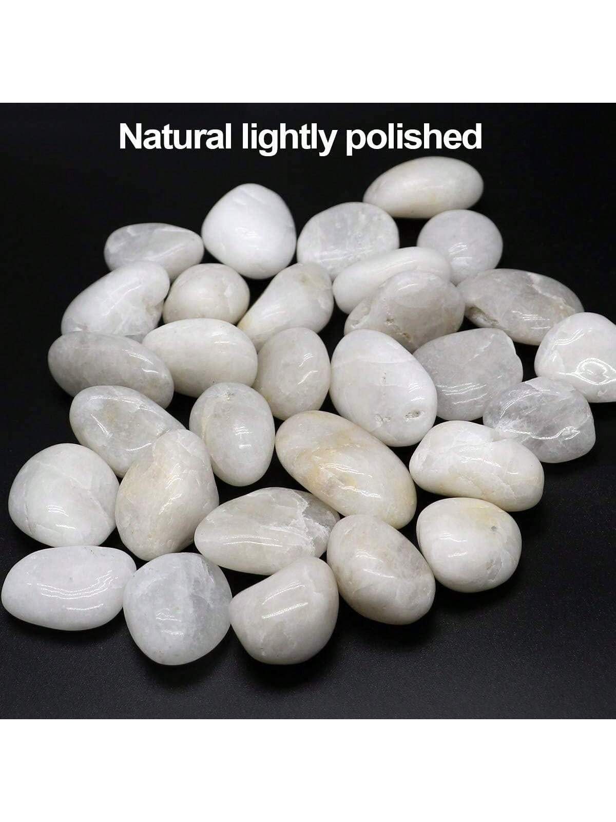 River Rocks Decorative Ornamen - Aquarium Marine Tank のレビューと価格