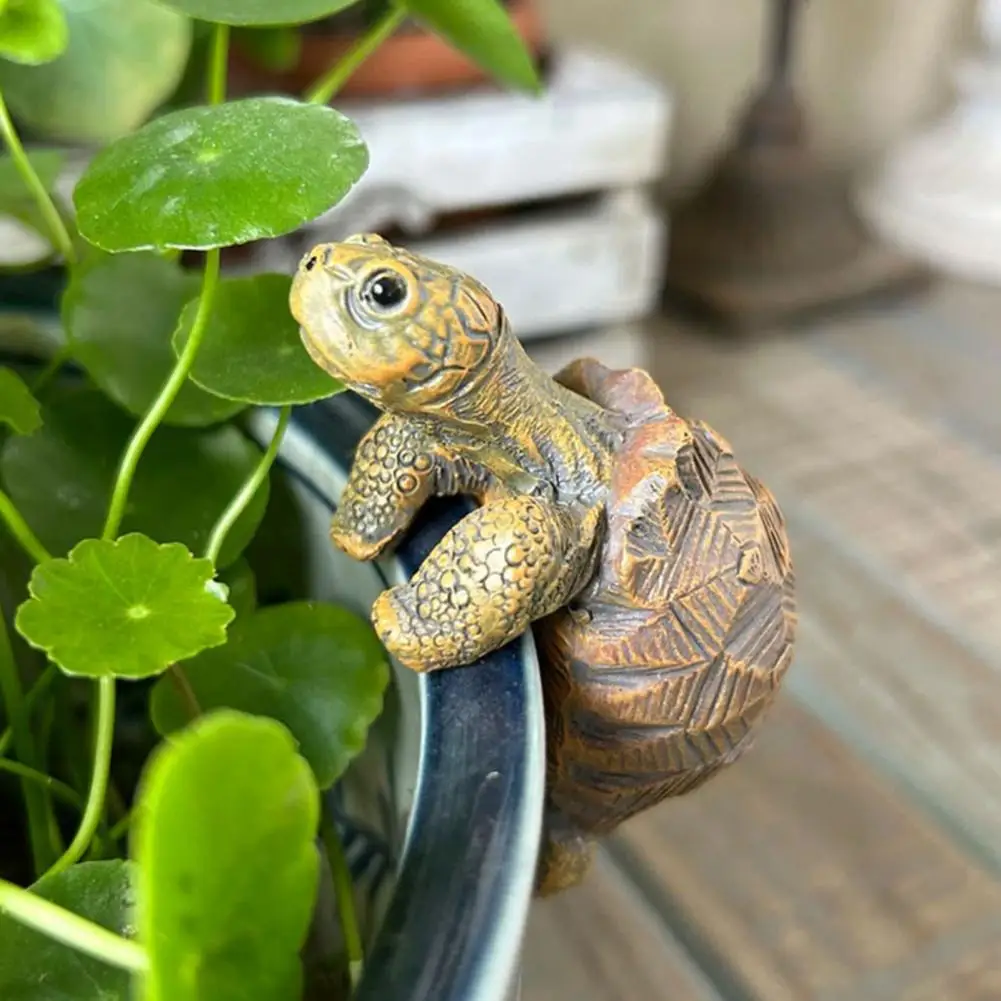Fishing Turtle Hanging Turtle  - Aquarium Marine Tank のレビューと価格