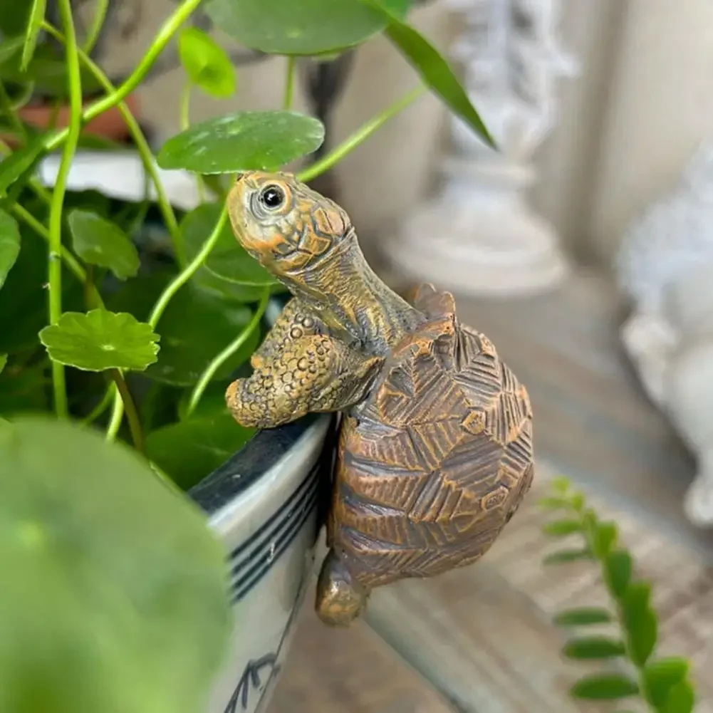 Fishing Turtle Hanging Turtle  - Aquarium Marine Tank のレビューと価格
