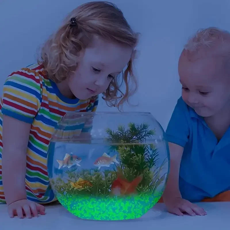 1000pcs 3-5mm Luminous Sand Gl - Aquarium Marine Tank のレビューと価格