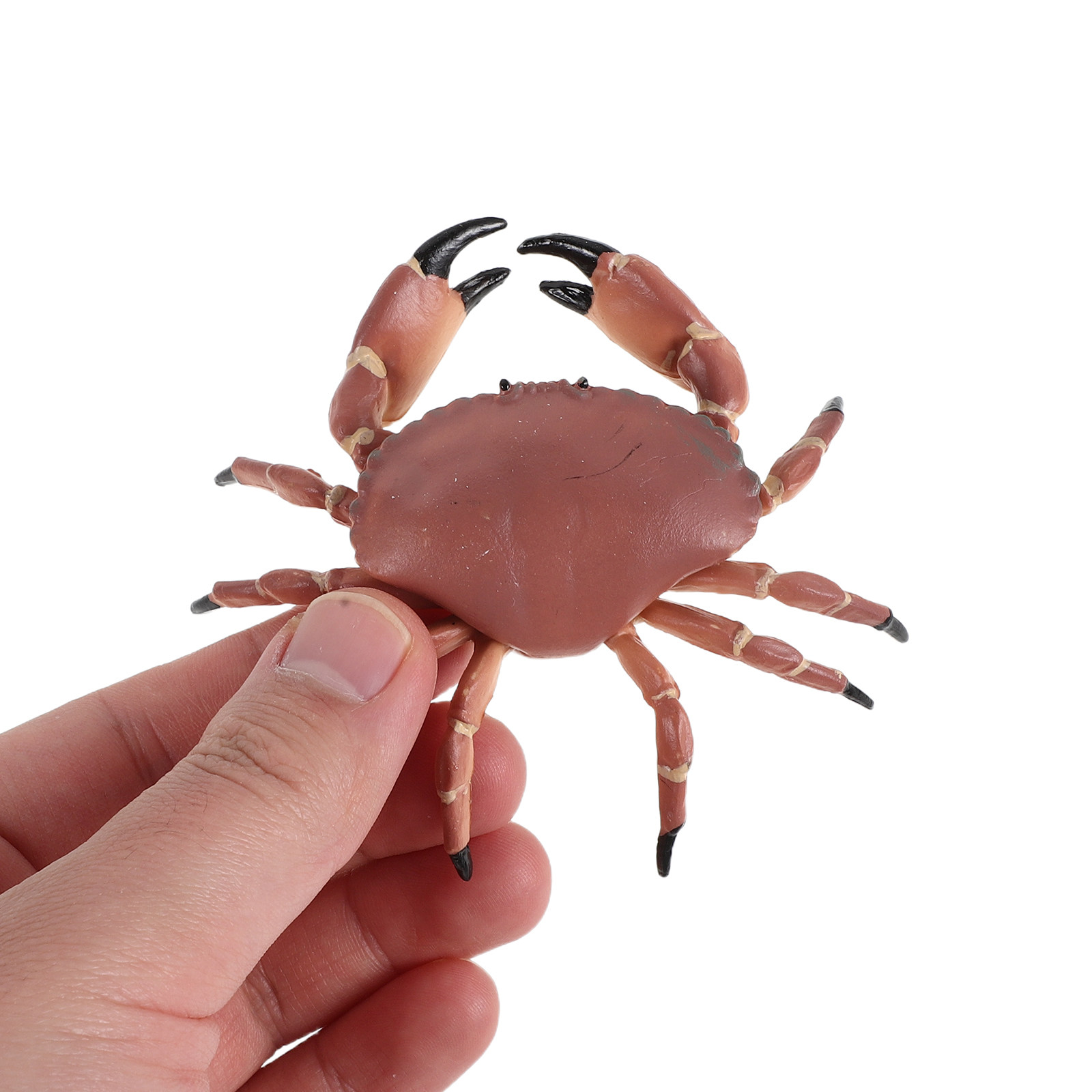 3Pcs Realistic Plastic Crab Fi - Marine Aquarium Decorations のレビューと価格