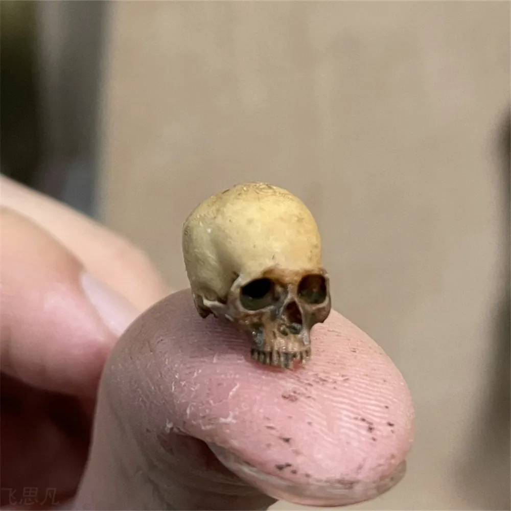 Mini Skull High Quality Miniat - Marine Aquarium Mini のレビューと価格