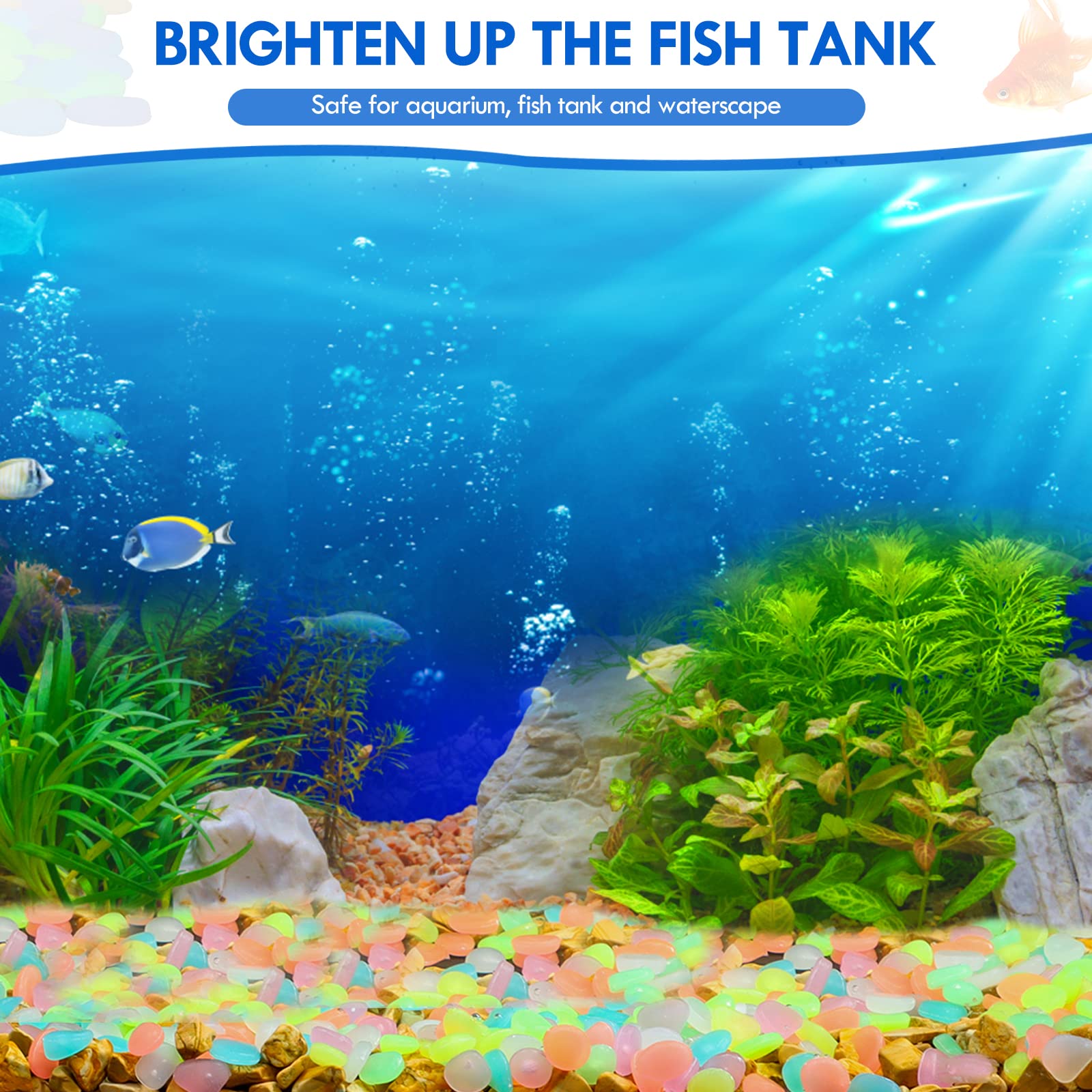 100Pcs Glow in the Dark Garden - Aquarium Marine Tank のレビューと価格