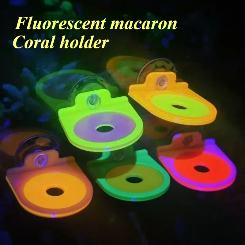 Color Random Coral Frag Holder - Aquarium Marine Color のレビューと価格