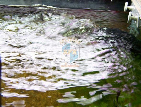 sunsun Jvp-200 newest waver ma - Aquarium Marine Color のレビューと価格