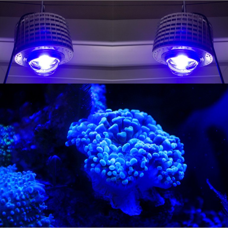 LED Aquarium Lighting Full Spe - Aquarium Marine Color のレビューと価格