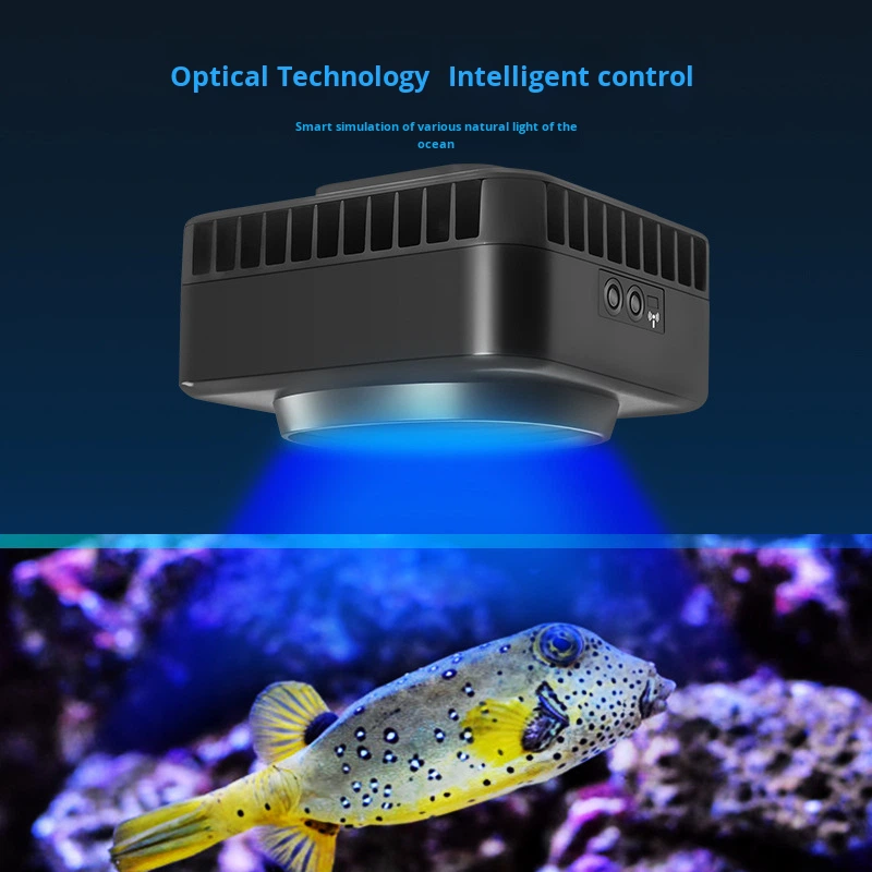 Jebao GSQ Smart Marine Coral L - Aquarium Marine Color のレビューと価格