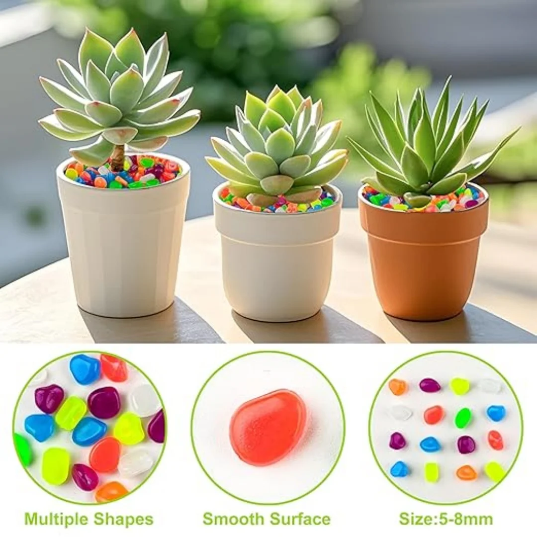 500Pcs Glow in The Dark Garden - Aquarium Marine Tank のレビューと価格